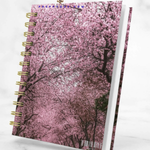 JOURNAL