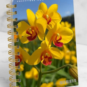 JOURNAL