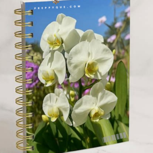 JOURNAL