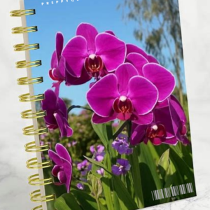 JOURNAL