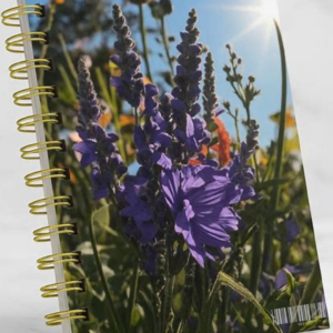 JOURNAL