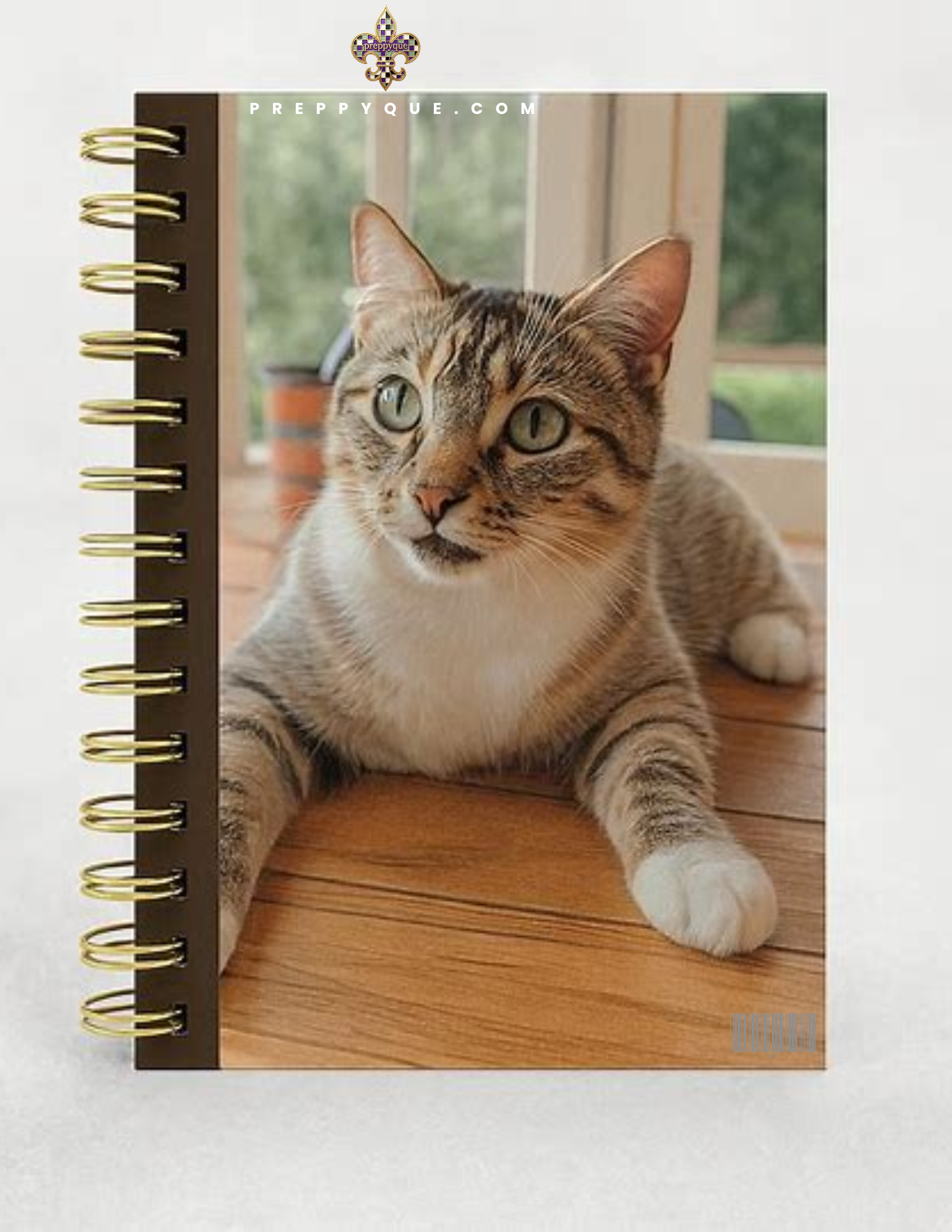 CAT JOURNAL