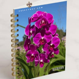 JOURNAL