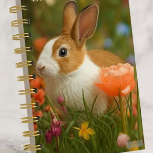 JOURNAL