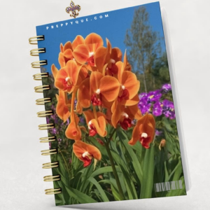 JOURNAL