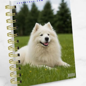 JOURNAL